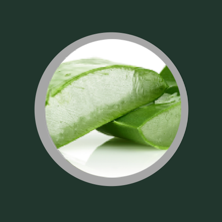 Aloe Vera Leaf swatch circle representing natural, clean, and skin-friendly ingredients.