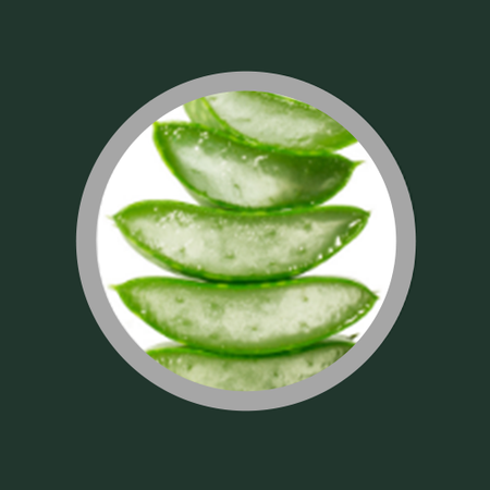 Aloe Vera swatch circle representing natural, clean, and skin-friendly ingredients.